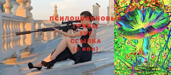 ГАЛЛЮЦИНОГЕННЫЕ ГРИБЫ Абинск