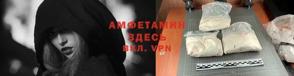 стаф Абаза