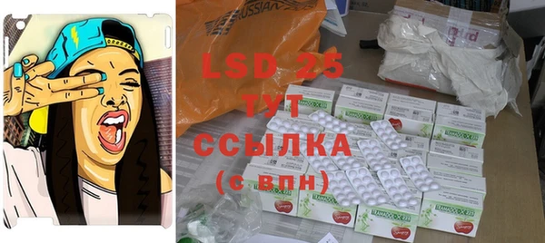 хмурый Новозыбков