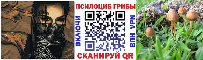 Галлюциногенные грибы Psilocybine cubensis  Невельск 